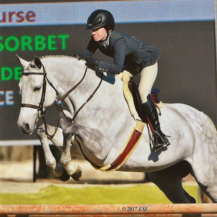 Grace Tuton's Inspirational Dedication to Her Four Legged Partners