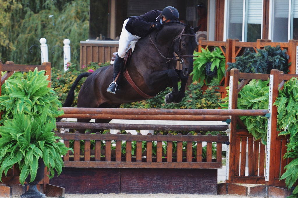 Easy Street wins $20,000 Foxstone USHJA INTERNATIONAL DERBY